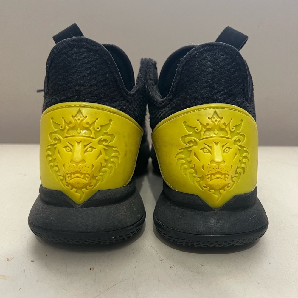 Nike LeBron Basketball Shoes